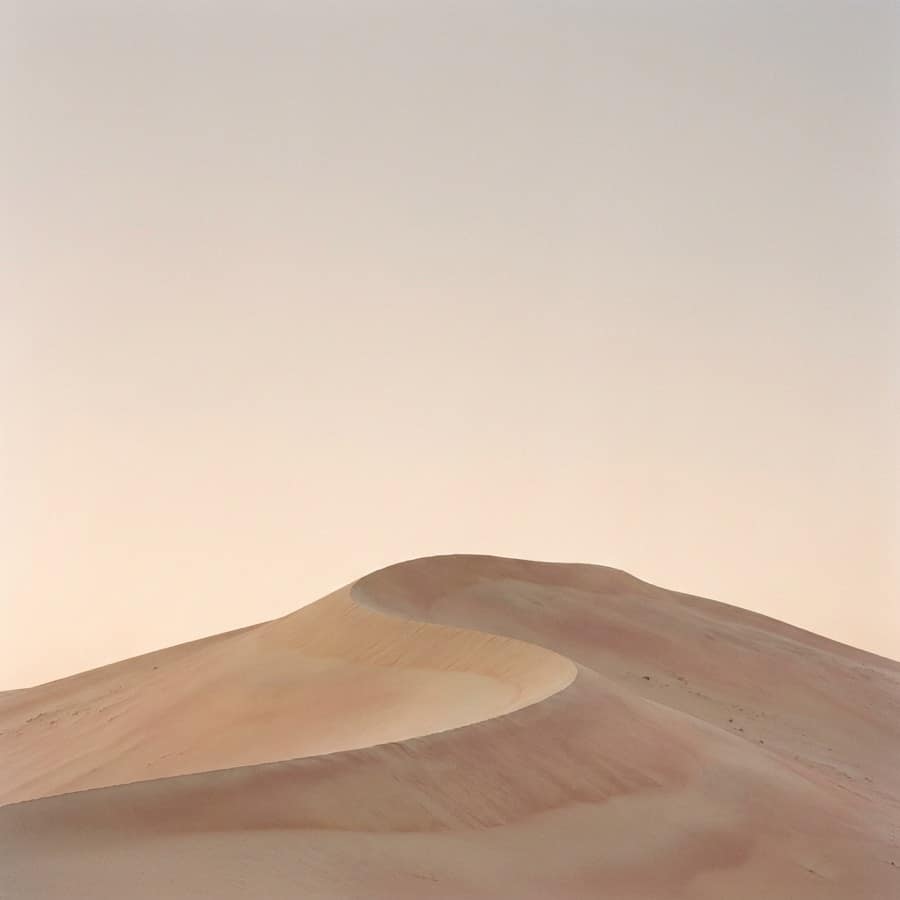 Dune Study No. 01